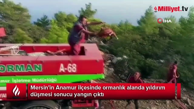 Mersin'de yıldırım düşen ormanlık alanda yangın çıktı