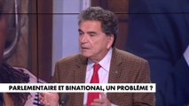 Pierre Lellouche : «Elle est largement sortie de ses attributions en agitant une écharpe tricolore et en intervenant devant son gouvernement d’origine»