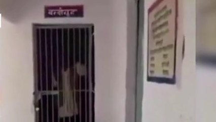 सुलतानपुर: हवालात में बन्द कैदी, गा रहा गाना विडियो हुआ वायरल, आप भी सुने गाने की लाईन