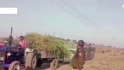 नशा के सौदागर: अफीम और गांजे की अवैध खेती का कलेक्टर एसपी ने किया निरीक्षण