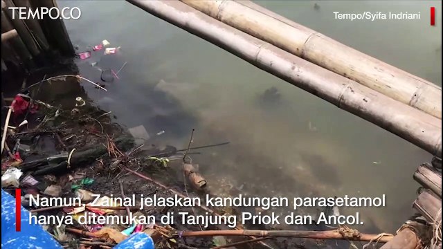 Soal Parasetamol, Peneliti BRIN: Tak Seluruh Teluk Jakarta Tercemar