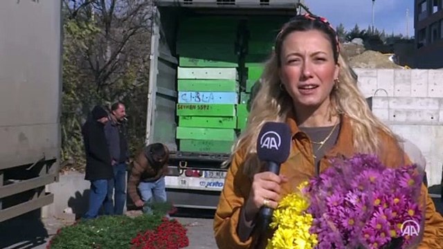 Çiçekçiler '24 Kasım Öğretmenler Günü'ne hazır