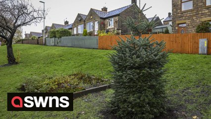 Villagers have blasted civic chiefs for spending £1,450 on a Christmas tree that stands at just SIX FEET tall