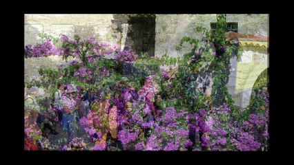 Voyage Monténégro & Croatie 2022.