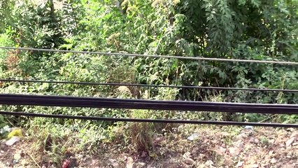 Desgarrador testimonio de una madre, a la cual, una potente descarga eléctrica, casi mata a su hija