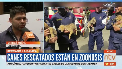 "¡Cómo si fuera basura!" Dejaron en un saquillo a cuatro canes dentro de un contenedor