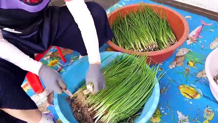 Seafood Pancake Bawang Hijau Pajeon and Buchujeon  Jajanan Korea street food
