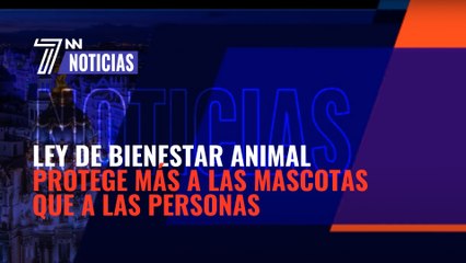 La ley de bienestar animal protege más a las mascotas que a las personas