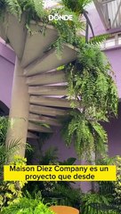 Maison Diez Company 2022: expo llena de luz. ¡Es gratis!