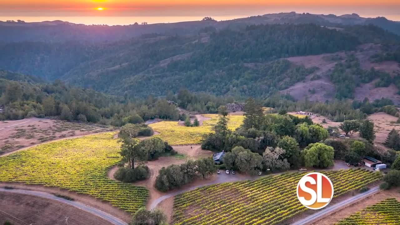 Cobb Wine is the perfect pairing for holiday gifts and entertaining