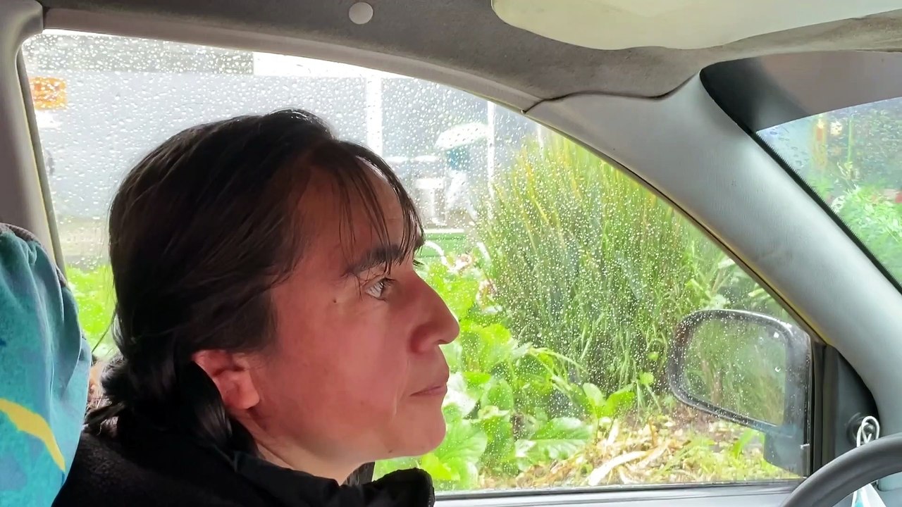 pre - corte taxista