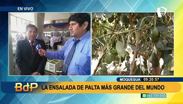 Moquegua busca Récord Guinness con la Ensalada de Palta más grande del mundo