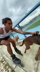 Skating with the Help of my Pitbull