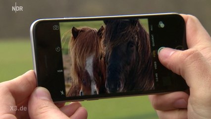 Realer Irrsinn: Der Mossad im Matsch