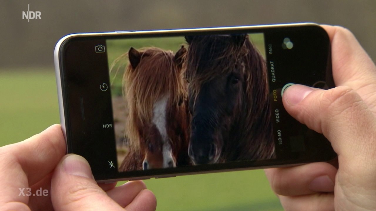 Realer Irrsinn: Der Mossad im Matsch