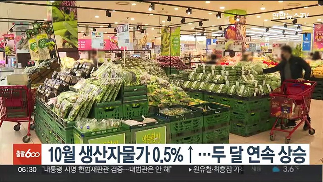 10월 생산자물가 0.5%↑…두 달 연속 상승