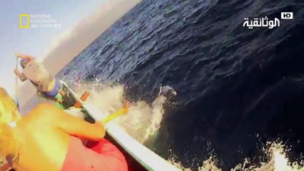 حيوانات باتت جامحة  | مواجهات غريبة