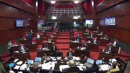 Senador Rogelio Genao dice país es víctima campaña difamación