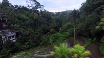 Beauty of Tegallalang Rice Fields on Bali Drone View