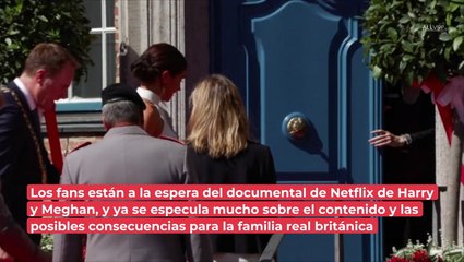 Tras estreno de documental en Netflix: expertos creen que el príncipe Harry podría quedarse "solo"