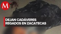 Son encontrados cadáveres en la comunidad Casa Blanca en Zacatecas