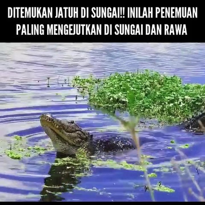 Miracles in swamps and rivers