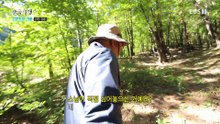 한국기행 - Korea travel_강원도의 가을 3부- 우리 마을 열혈 스님_#002