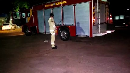 Bombeiros são chamados para capturar cachorro de grande porte que colocava pessoas em risco