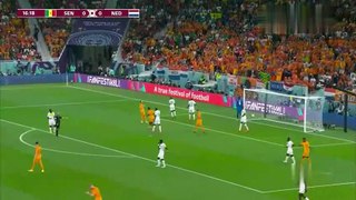 Senegal Vs Netherlands 0 - 2 Highlights All Goals | FIFA WORLDCUP 2022 QATAR