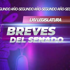 Ascienden a militares en el ejercito y la Fuerza Aérea Mexicanos.