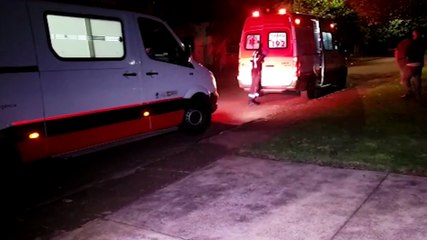 Homem passa mal ao ser picado por abelha no Santa Felicidade