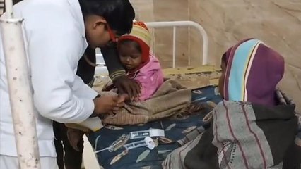 अमरपाटन:रतनजोत के बीज बने जान के दुश्मन,3 बच्चों ने गलती से खाए बीज,हालत गंभीर