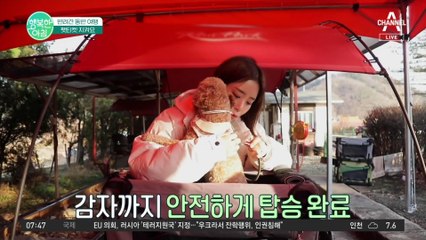 펫티켓 ♥댕댕 트립♥ 눈치 보지 않고 자유롭게 떠나는 반려견과의 여행