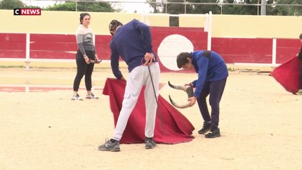Loi anti-corrida : afficionados et détracteurs toujours divisés