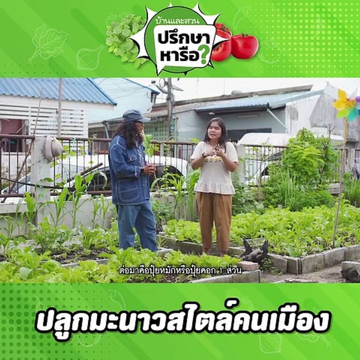 บ้านและสวนปรึกษาหารือ ปลูกมะนาว