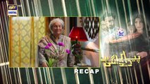 Pyar Deewangi Hai Episode 28 - Presented by Surf Excel -English Subtitle-21st Nov 2022 - ARY Digital