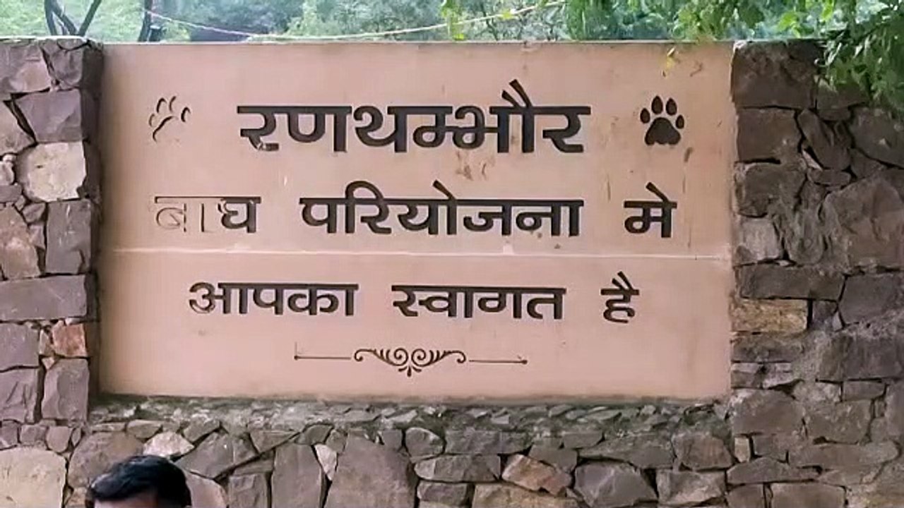वन विभाग के अमल दरामद हुई 5723 हेक्टयर वन भूमि
