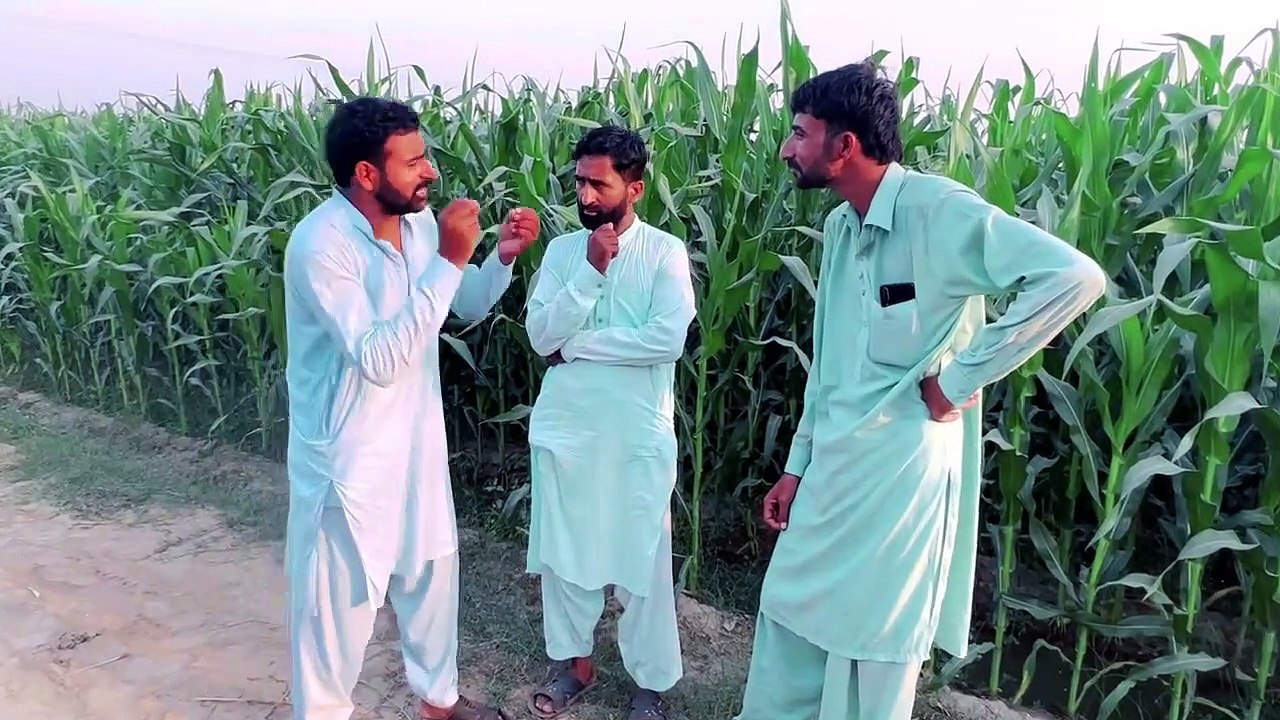 گاؤں کا ماحول