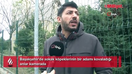 Sokak köpeklerinin bir adamı kovaladığı anlar kamerada