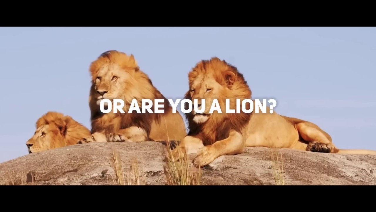 LION MENTALITY  Motivation