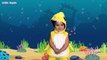 Bebé Tiburón | Canciones Infantiles | baby shark