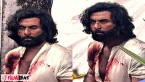 Ranbir Kapoor चेहरे पर खरोंच, खून से लथपथ दिखे ! , Animal Film के सेट से Viral हुईं Photos