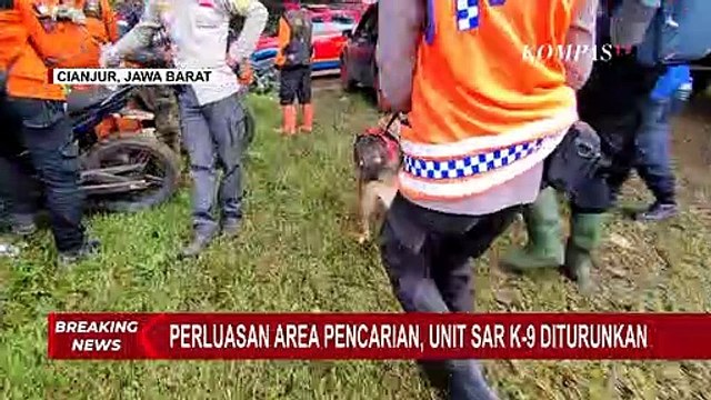 Area Pencarian Diperluas, 9 Anjing Pelacak Diterjunkan Bantu Cari Korban Longsor di Cianjur