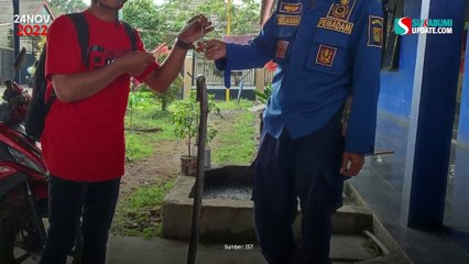 Menyelinap Masuk Rumah, Ular Kobra Tewaskan Warga Cicurug Sukabumi
