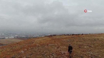 Taşlık araziyi ormana çevirmişti: Yetkililer teşekkür edip fidan desteğinde bulundu