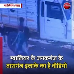 ग्वालियर (मप्र): फीमेल स्ट्रीट डॉग को बेरहमी से पीटा, और अंत में तोड़ दिया दम