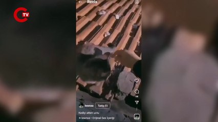 Haluk Levent: Kediyi çatıdan atanı bulana ödül var