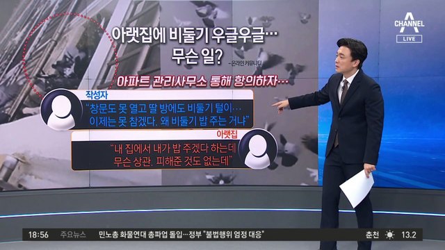 “내 집인데 무슨 상관” 아랑곳…‘아랫집 비둘기 떼’에 분통