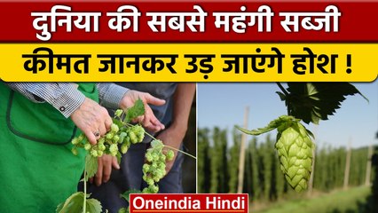 Hop shoots क्यों है World Expensive Vegetable, जानें ऐसा क्या है इसमें खास | वनइंडिया हिंदी *News