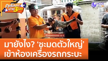 มายังไง? 'ชะมดตัวใหญ่' เข้าห้องเครื่องรถกระบะ (24 พ.ย. 65) คุยโขมงบ่าย 3 โมง